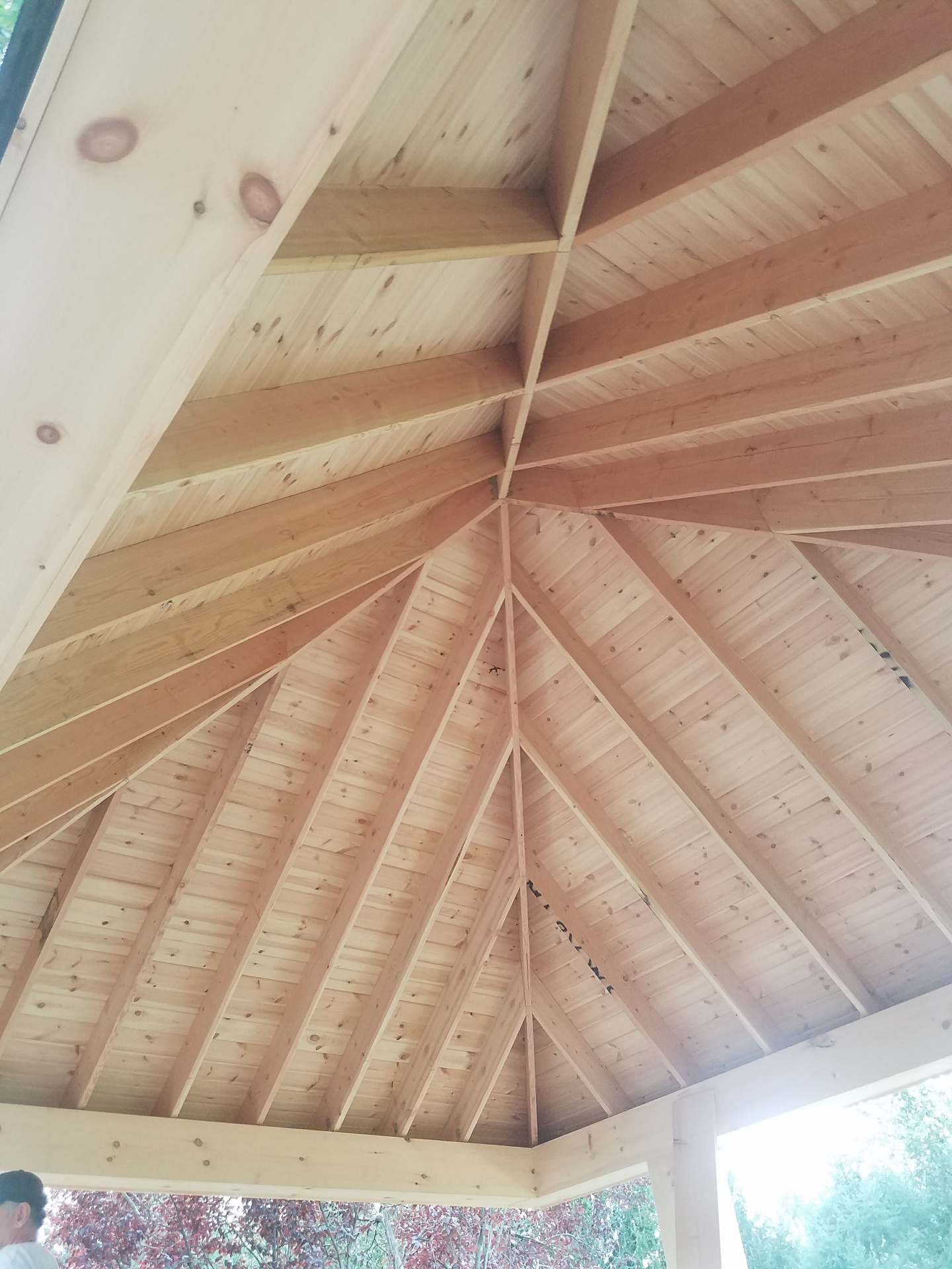 Cedar pavilion ceiling framing detail